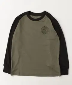 Item thumbnail for item dbc2c7a6-2d41-43bc-bdab-da2d7f267c82