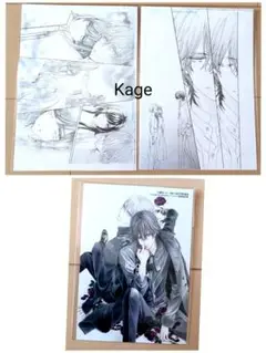 LaLaDX9月号 アニメイト特典 ヴァンパイア騎士 複製原画5と8 ブロマイド
