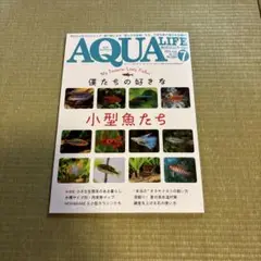月刊アクアライフ 2025年7月