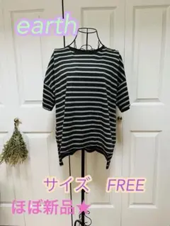 earth ストライプ Tシャツ フリーサイズ ほぼ新品