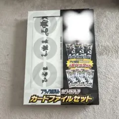 ポケモンカードファイルセット ホワイトフレア/ブラックボルト　プロモカードなし