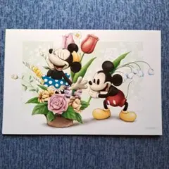 ディズニー　ポストカード　ミッキー　ミニー　非売品
