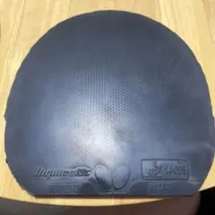 ディグニクス09C