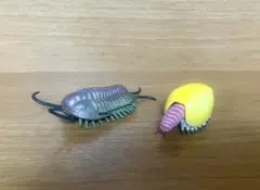 古生物フィギュア　三葉虫　カナダスピス