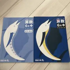 予習シリーズ　算数6年下
