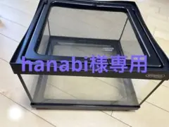 爬虫類飼育セット