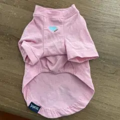 Item thumbnail for item 4d4bf814-fc44-4a32-9aa7-12ab558dc910