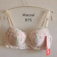 Item thumbnail for item 9cc10250-b38b-49ab-b89a-50b69ff19d9c