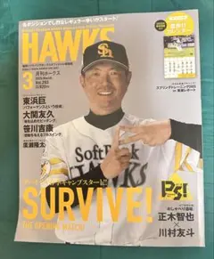 Hawks 2025年3月号