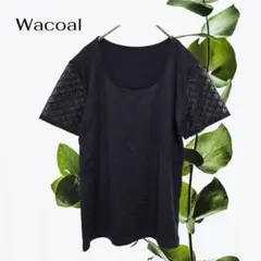 ワコール Wacoal 半袖Tシャツ【L】黒 ブラック レース袖 日本製 透け感
