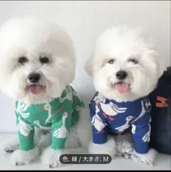 Item thumbnail for item c752603e-2ff1-45bc-9a3e-3c8a75765e59