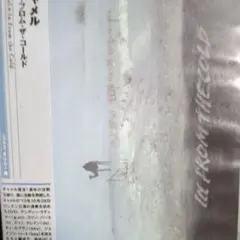 キャメル/インフロムザゴールド　DVD