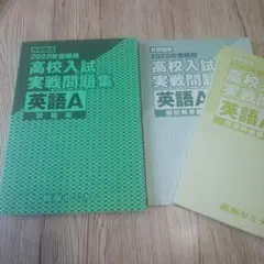 未使用 臨海セミナー 自校作成校 高校入試実践問題集 英語A 2025年版