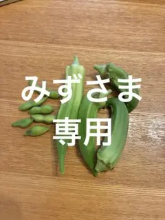 レピピ靴下