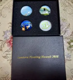 真如苑ハワイ登録流し〈2018年〉記念品 マグネット　　【極希少品】　新品