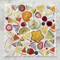 カットフルーツ【押しフルーツ】【押し野菜】【押し花】