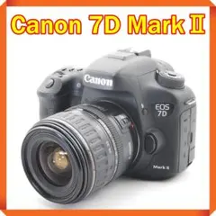 Item thumbnail for item 06091660-55f8-4d42-a7dc-4b1c8f8f34d7