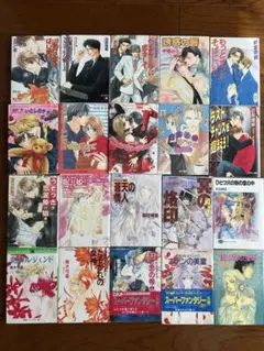 文庫本20冊