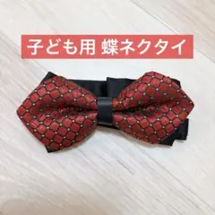 Item thumbnail for item d267ca14-fa94-4989-aeff-a4d88d64a1ce