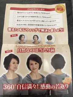 トップピース新品！ウィッグ2個セット