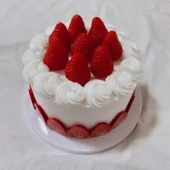 いちご　ホールケーキ　フェイク　食品サンプル　インテリア　撮影　誕生日　A841