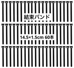 Item thumbnail for item f80cf7f4-a06e-487b-8518-02c8e9c05009
