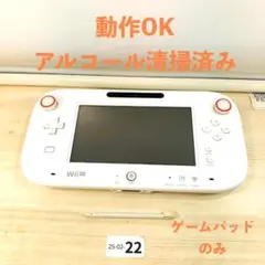 Item thumbnail for item 361e40bc-8bfd-42d6-84d1-2d2a51e528b9