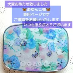 ※傷あり※ シマエナガさんモチーフのピルケース 朝顔モチーフ薬入れ