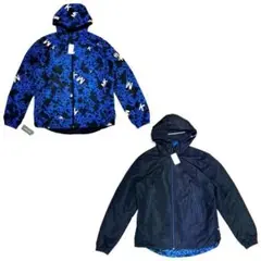 Item thumbnail for item 9f9d6342-885c-4f0f-8f9a-1fa3f368896f