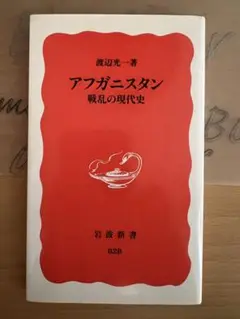 アフガニスタン 戦乱の現代史 岩波新書 828
