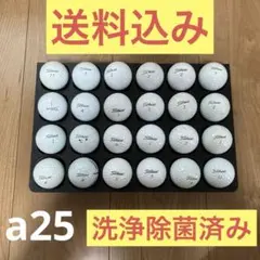 Titleist ゴルフボール 24個セット ロストボール