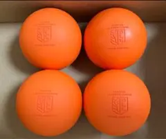 Item thumbnail for item 052c3f4d-77bb-457d-8944-bf6def17cb09