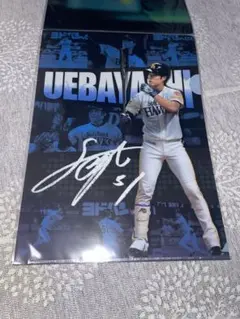 上林誠知 クリアファイル　ソフトバンクホークス　野球