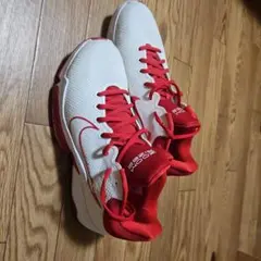 Item thumbnail for item fd17d0a4-073e-468a-a0b5-8b5a08fc73d4