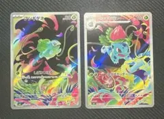 フシギダネ フシギソウ AR 各1枚セット