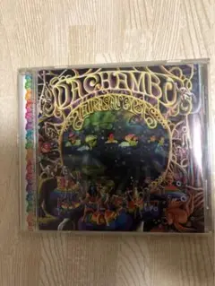 Newrasian Gypsies Dachambo ダチャンボ