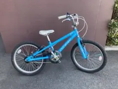 ゆか様専用子供用ルイガノ自転車 20インチ