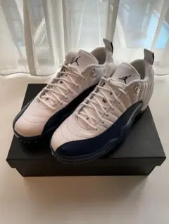 Nike Air Jordan 12 Golf