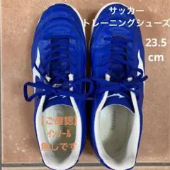 トレーニングシューズ、サッカー、ミズノ、青、23.5cm