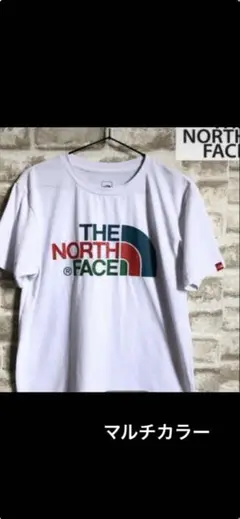 ノースフェイス　マルチカラーT 新品未使用