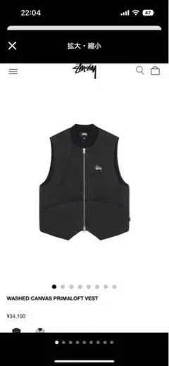 stussyベスト