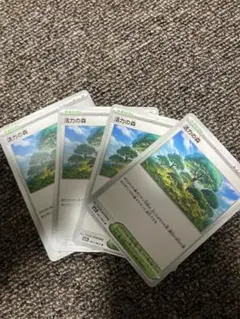 活力の森 4枚