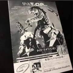2025年最新】タイガース・オブ・パンタンの人気アイテム - メルカリ