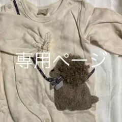 専用ページ
