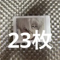 ブルーロック パシャこれ 凪誠士郎 23枚セット