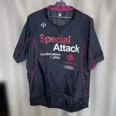DESCENTE　ピステ