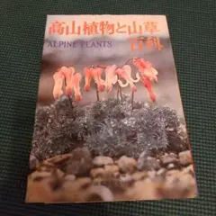高山植物と山草百科