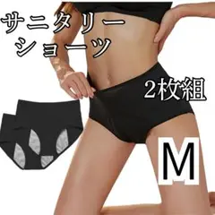 サニタリーショーツ 2枚組 吸収型タイプ 生理用 吸収抜群 黒 M