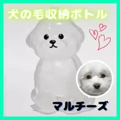 マルチーズ 犬の毛 キーホルダー けだま ケース 収納 ペット