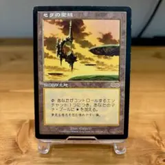 2025年最新】mtg セラの聖域の人気アイテム - メルカリ